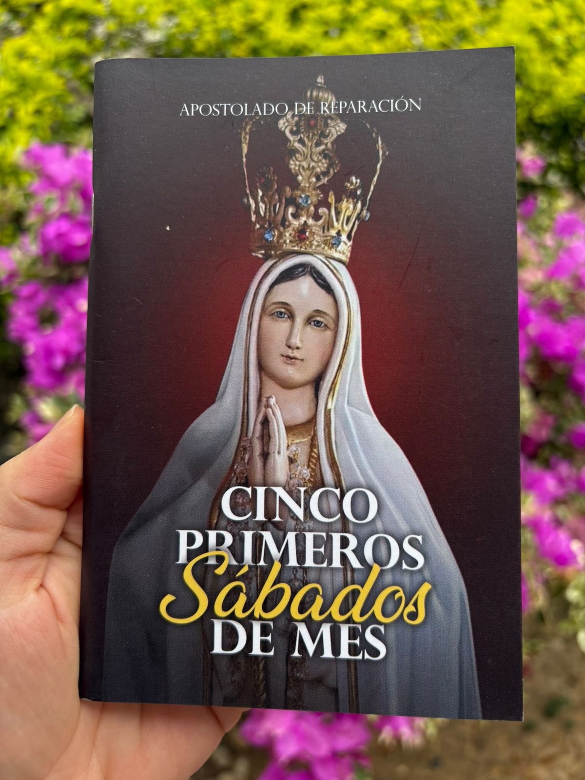 Cinco Primeros Sábados del mes